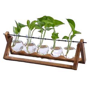 Supporto in legno per interni stazioni di propagazione per piantare acqua fioriera in vetro ad aria vaso per lampadine ornamenti in vetro trasparente piante terrario - Product Image 1