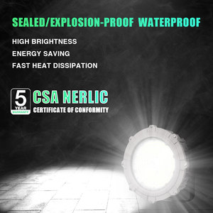 Bbier ngọn lửa dẫn nổ bằng chứng IP65 lũ đèn 200W núi nổ bằng chứng bay cao dẫn chiếu sáng - Product Image 3