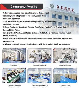 工場で生産された経皮ハーバルレッドペッパー鎮痛パッチボディネックマッスルホットチリ多孔質トウガラシタイガープラスター - Product Image 6