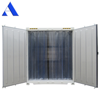 Container Refrigerato da 45 Piedi Certificato BV con Unità di Raffreddamento Thermo King, Congelatore da 45 Piedi a Qingdao