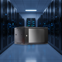 Armoire de serveur de centre de données murale 4U 19 pouces, optimisation efficace de l'espace, en acier SPCC, en stock