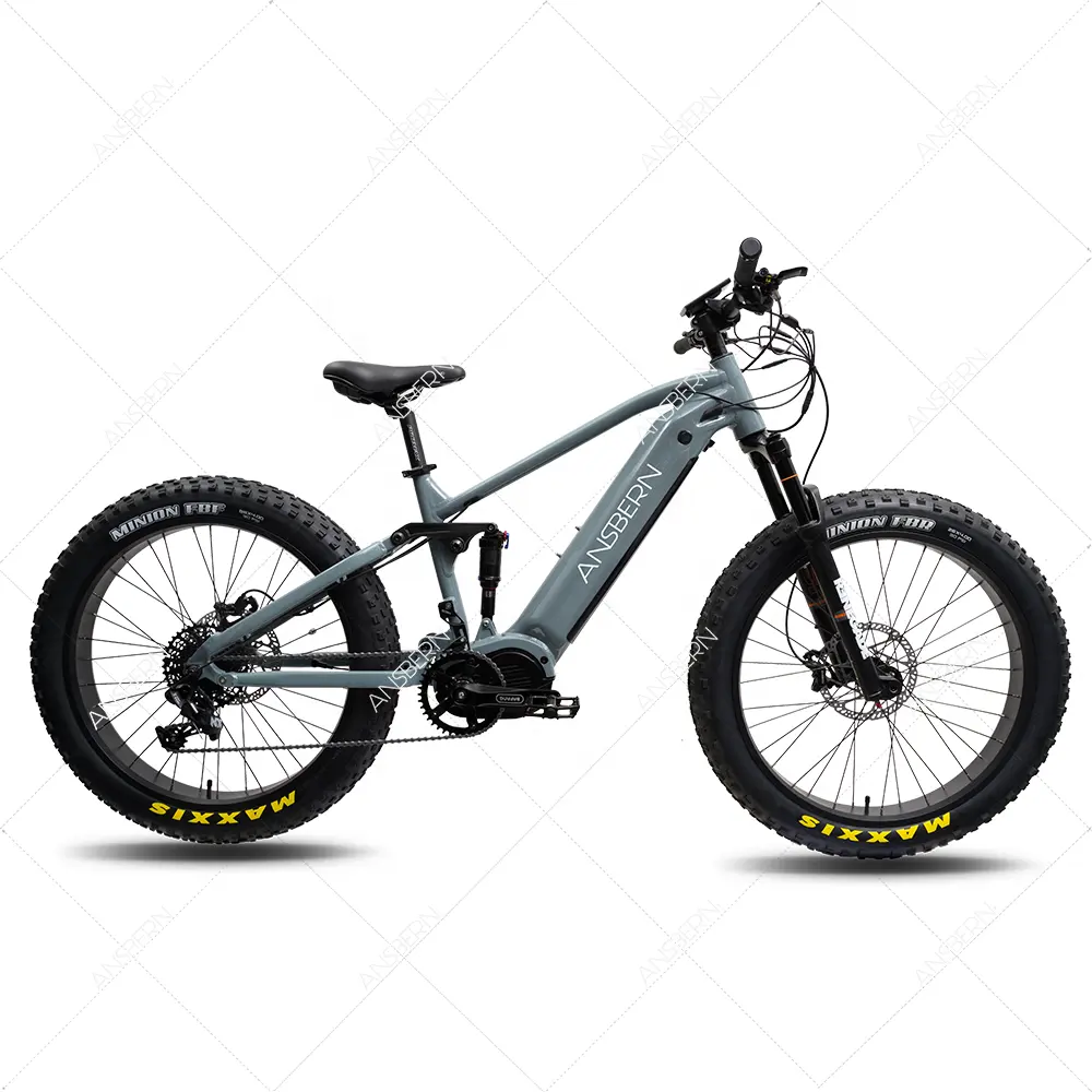 2023 Hot Sale OEM ODM 1000W Fat Tire Full Suspension Mid Drive Electric Mountain E Bike/Emtb