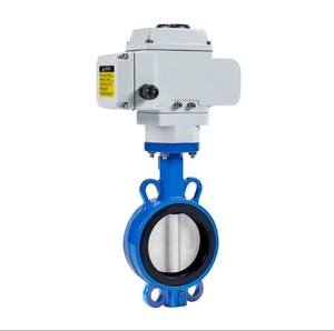 Vanne de régulation électrique pour dioxyde de carbone, structure à passage direct pour un contrôle précis du débit - Product Image 4