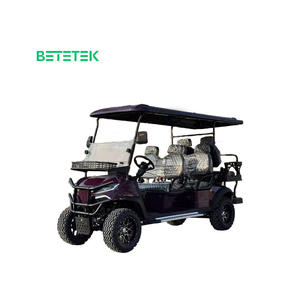 Voiturette de golf électrique tout-terrain 4 places personnalisée 2025 – Nouveau modèle au meilleur prix avec les meilleures caractéristiques, certifiée DOT CE GCC EEC - Product Image 3