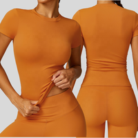 Haut de Sport Décontracté à Manches Courtes pour Femmes, Séchage Rapide, Yoga, Course à Pied, T-shirt de Printemps