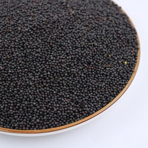 Graines de <span class=keywords><strong>moutarde</strong></span> <span class=keywords><strong>noire</strong></span> et blanches à prix d'usine - Product Image 4