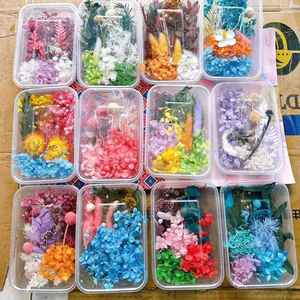 Mélange de Fleurs Séchées et Stabilisées en Gros, en Boîte ou en Sachet pour Bougies et Petits Matériaux de Résine DIY - Product Image 4