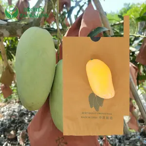 Mango Groeiende Beschermende Boom Wikkelen Fruit Bescherming Zakken Van Vogels