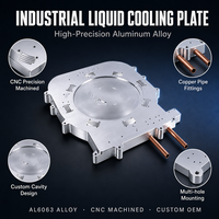Plaque de refroidissement liquide en aluminium usinée CNC, conception de cavité personnalisée pour la gestion thermique des modules de puissance de chargeur laser IGBT EV