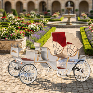 Vente directe usine : Calèche de loisirs, calèche de tourisme, véhicule de transport spécial à vendre à bas prix - Product Image 1