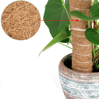 Poteau en mousse pour plantes d'extérieur - Totem en fibre de coco naturelle de 12/24/36 pouces pour soutenir les plantes grimpantes