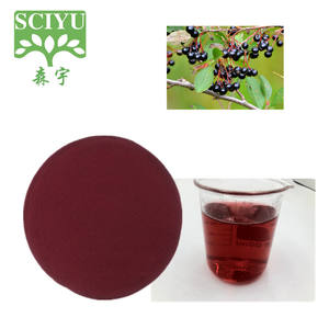 Poudre d'extrait de baies d'<span class=keywords><strong>aronia</strong></span>, poudre d'extrait de jus de fruit de chokeberry, anthocyanes 25% 4:1 10:1 20:1, soluble dans l'eau - Product Image 1