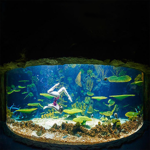 Conteneur d'expédition Aquariums & Accessoires En Plastique Grande Taille Claire Petit <span class=keywords><strong>Verseau</strong></span> Piscine Souterraine Stockée Écologique - Product Image 4