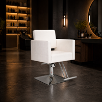 Chaise de barbier portable pour salon, prix de gros, chaise de barbier
