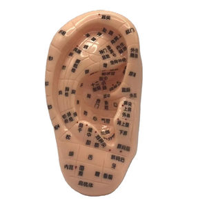 Enseñanza médica acupuntura oreja modelo imagen PVC Material inteligente estimulante manipulación enseñanza acupuntura herramienta - Product Image 1
