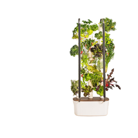 Tour hydroponique verticale BC Spacetree, système de culture de légumes intelligent pour la maison, culture sans sol, machine de plantation, aéroponie, plastique, USB