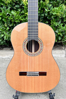 Aiersi All Solid 39-inch All Solid Cedar Top Rosewood Body Flamenco Guitar