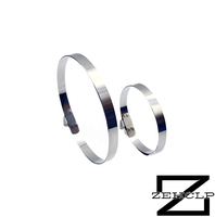 Collier de serrage universel métrique pour ressort automobile en acier inoxydable 201 à tension constante pour soufflet de cardan et protection anti-poussière de direction