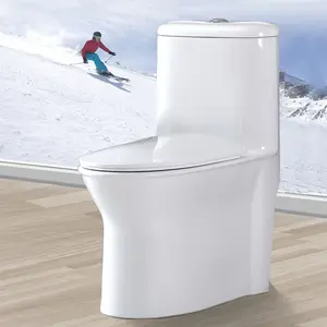 EDOO Y807 Profession elles Design Siphonic einteilige Toilette