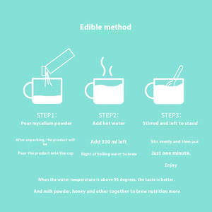 Myzel Super food Pulver | Ersatz für Bio-Mahlzeiten und probiotisches Fermentation getränk | 300g Box | Vegan & Gut Gesundheit - Product Image 5