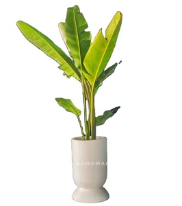 Pot de fleurs en verre et fibre de verre de qualité supérieure, pour intérieur et extérieur, jardin, pot de fleurs décoratif de forme moderne - Product Image 1