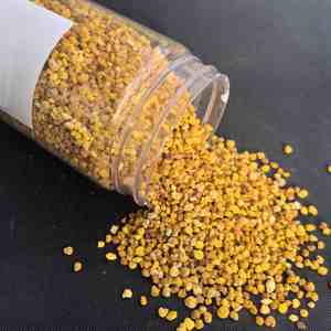 Pollen d'abeille biologique de Codonopsis Pilosula de qualité supérieure, frais et naturel, de qualité alimentaire, meilleur prix à la vente - Product Image 6