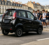 Voiture électrique compacte modèle européen, véhicule à énergie nouvelle 4 places, mini SUV certifié UE, véhicule de loisirs pour adolescents, livraison rapide