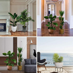 Supporto per piante in metallo durevole supporto per piante in <span class=keywords><strong>ferro</strong></span> antiruggine per interni per contenitore da giardino supporto per piante in vaso da esterno - Product Image 6