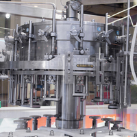 Machine de remplissage automatique de bouteilles en verre à 16 têtes pour les projets de ligne de mise en bouteille de petites boissons et de bière