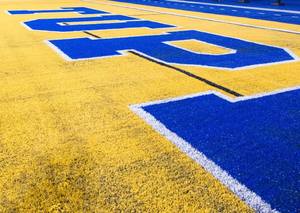 Hierba artificial amarilla Anti-UV para línea <span class=keywords><strong>de</strong></span> marca, 50mm, acabado superior - Product Image 5