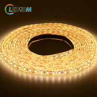 Lampu Strip LED COB SMD2835 5050 8mm DC12V/24V Putih Hangat/Dingin CCT RGB RGBW IP68 Tahan Air Fleksibel dengan Remote Control