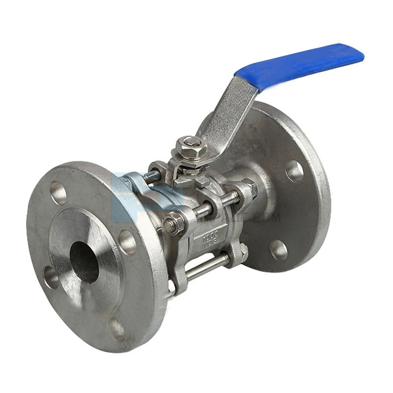 DN65 Ductile Iron Y Strainer Flange