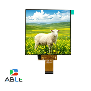 Customized 3.95 inch /4 Inch Incell Square 480x480 IPS Mipi 31pin 500cd/m2 TFT LCD Screen Display Module - Product Image 1