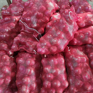 Cebollas Rojas más vendidas Verduras frescas y envasadas para exportación Cebollas Rojas frescas naturales al por mayor - Product Image 5