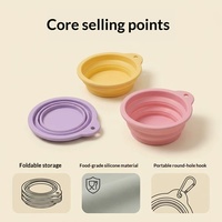 Bol pliable en silicone pour animaux de compagnie, portable, pour l'extérieur, de qualité alimentaire, pour l'eau