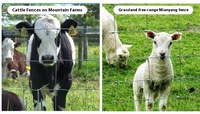 Clôture de champ pour bétail XG, hauteur 1,5 m, longueur 100 m, galvanisée à chaud, à charnières, pour chèvres, moutons, chantiers de construction