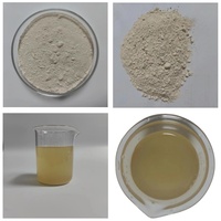 Fabrieksleverancier Hydroxycitroenzuur 60% HCA Garcinia Cambogia Extract Poeder Garcinia Cambogia Extract