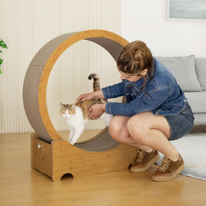 Rueda de ejercicio para gatos de madera silenciosa grande, rueda para correr para mascotas en interiores para gatos, Fitness y juegos divertidos - Product Image 1