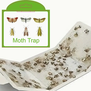 Pièges à mites de garde-manger avec phéromones, piège collant pour mites des vêtements, non toxique, sûr pour la maison <span class=keywords><strong>et</strong></span> la cuisine - Product Image 6