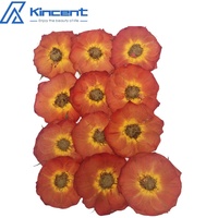 Gedroogde Geperste Roos 4-6Cm Natual Echte Roos Gedroogde Bloemen Voor Ambachten Kunsthars
