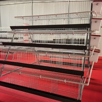 Cages à poules pondeuses personnalisées résistantes à la chaleur – Cage en batterie pour poules pondeuses