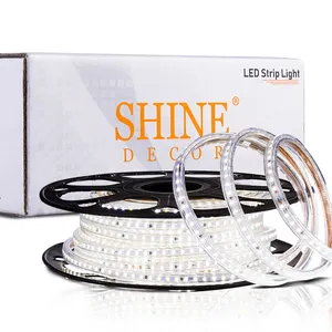 2023 nuove vendite striscia di retroilluminazione a LED per uso interno esterno ETL Listed Cuttable Garden LED Strip Light