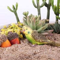 Yxs ensemble d'oiseaux de simulation solide pour enfants jouet de modèle animal en plastique statique sauvage