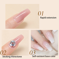 Fournisseur professionnel de gel à ongles sans TPO ni HEMA, gel acrylique longue durée, gel de construction UV de haute qualité avec échantillon gratuit