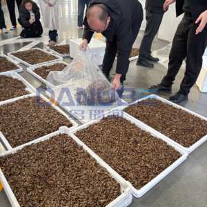 Machine de séchage personnalisée pour graines de tournesol et noyaux de palme, équipement de déshydratation pour graines de tournesol, four de séchage à pompe à chaleur - Product Image 2