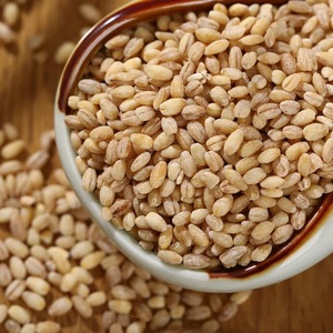 Hạt Nhân Lúa Mạch Cho Người Tiêu Dùng Giảm Giá Tốt - Product Image 3