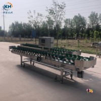 Modulaire doosgewicht sorteermachine met aangepaste graadinstelling, intelligente sorteerapparatuur voor fruitverwerkingslijnen