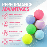 Balles de tennis en feutre multicolores de haute qualité - Durables, écologiques, rebondissent de 130 à 138 cm, logo personnalisé