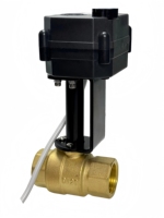 IP67 Hochwertiges motorisiertes elektrisches Kugelventil mit 2-Leiter-Automatikrückstellung 12V 24V 110-230V NPT/BSP