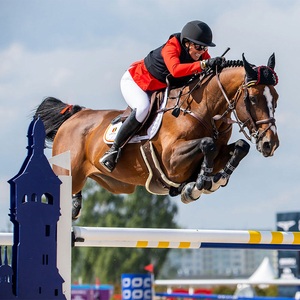 Prestazioni equestri ostacolo Show Jumping cavallo <span class=keywords><strong>salto</strong></span> di alta qualità in PVC cavallo <span class=keywords><strong>salto</strong></span> per arene di equitazione all'aperto - Product Image 3